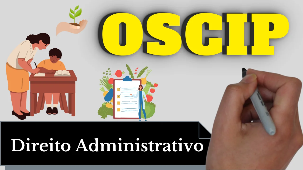 Resumo de Organizações da Sociedade Civil de Interesse Público – OSCIP