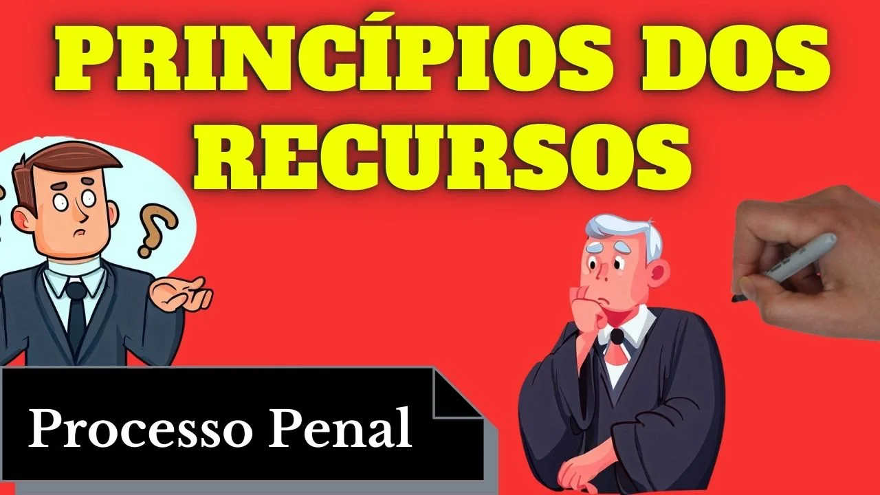 Videoaulas de Processo Penal: Princípios dos Recursos