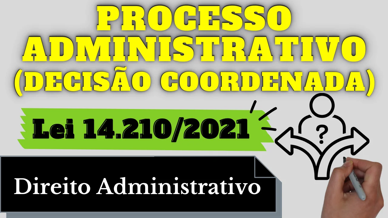 Resumo de Processo Administrativo - Decisão Coordenada e Dever de Decidir